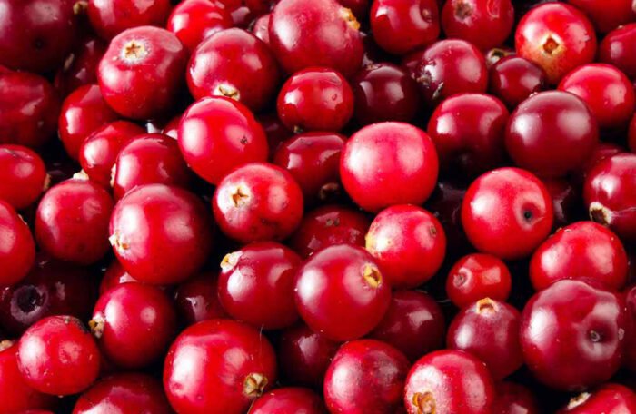 Cranberry Fruchtsaft. 0,3l